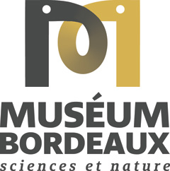 You are currently viewing Museum d’Histoire Naturel