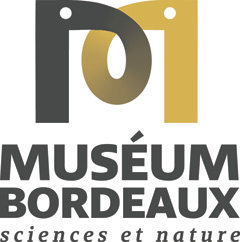 Lire la suite à propos de l’article Museum d’Histoire Naturel